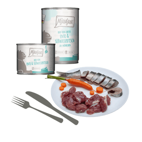 MjAMjAM Pato y Pescado con Zanahorias Paté Para Gatos