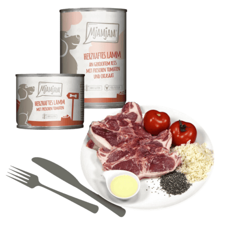 MjAMjAM Cordero con Arroz Paté Para Perros