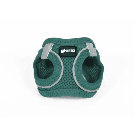 Arn&eacute;s Air Mesh Trek Star Turquesa Talla S para perro, detalle