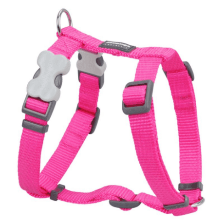 Red Dingo Arnes Liso Fucsia Para Perro