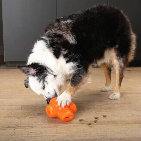 Bionic Treat Star Juguete Resistente para perro, detalle