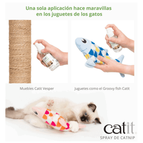 Catnip en Spray para gato, detalle