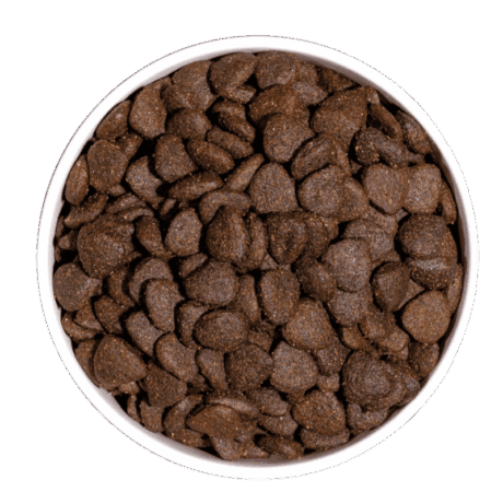 Just Grain Free Cordero para perro, detalle