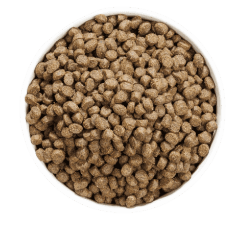 Just Grain Free Pescado para gato, detalle