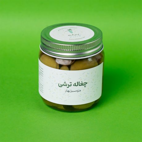 چغاله ترشی