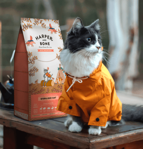 Wild Mountain Esterilizado para gato, detalle