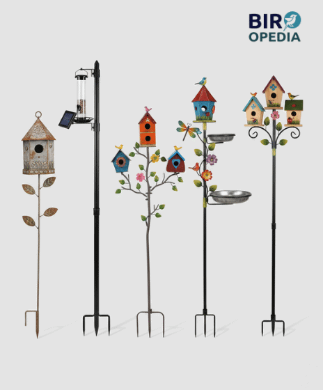 Free Standing Bird Houses