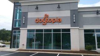 5 pet franchise opportunities for dog lovers