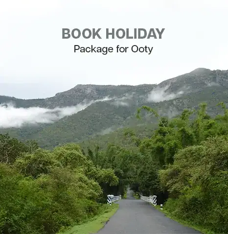 Chennai to Ooty tour packages for family