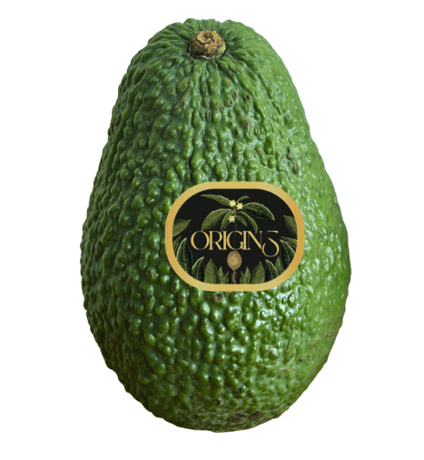 aguacate premium