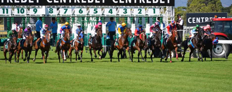 Who are the top contenders for the 2024 Pegasus World Cup?