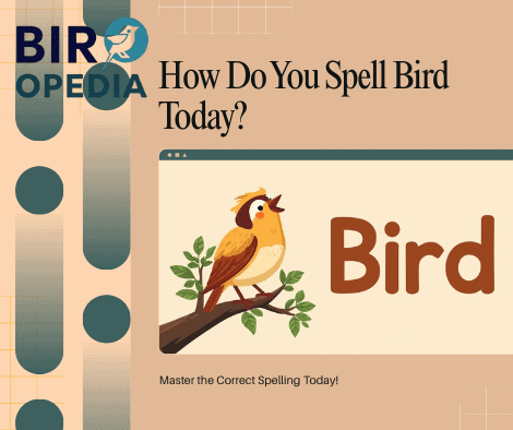 Can You Bird Hunt Without a Dog