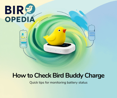 How Do You Know When Bird Buddy is Fully Charged