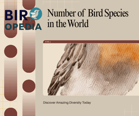Number of Bird Species in the World