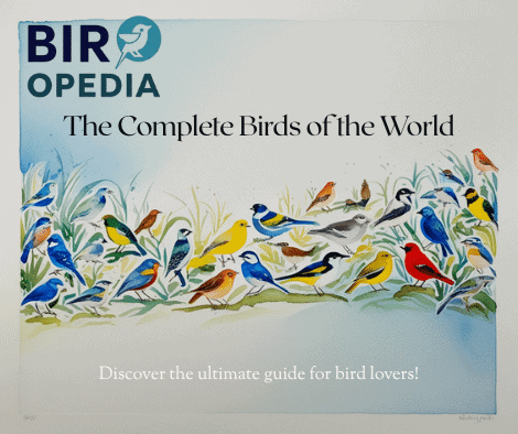 The Complete Birds of the World