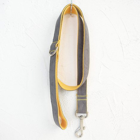 Dog leash grey leash