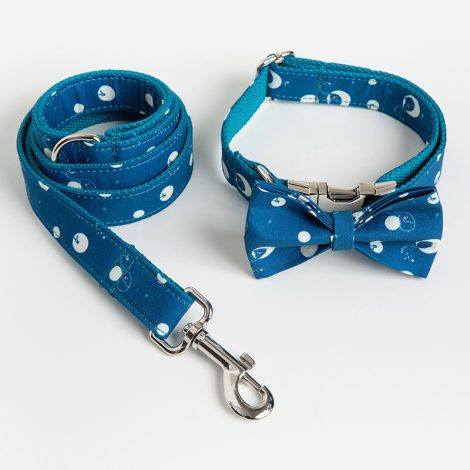 Pet Dog Collar Leash And Bow Set WISH Foreign Trade Pet Supplies Dog Collar Leash