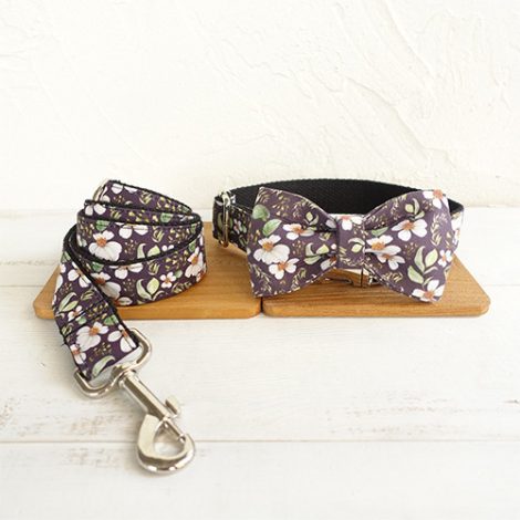 Pet Collar Bow Dog Rope Set