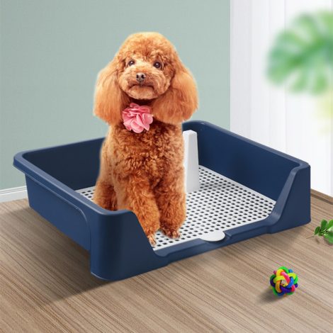 Dog Supplies Anti-stepping Stool Urinal Large
