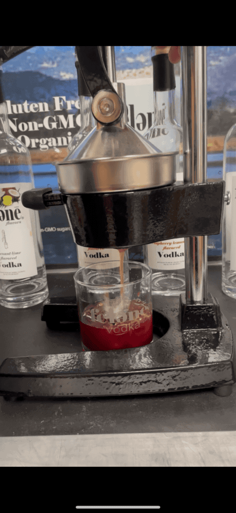manual citrus juicer