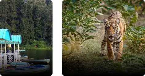 Ooty Trip Packages With Mudumalai Forest Sightseeing And Ooty Lake