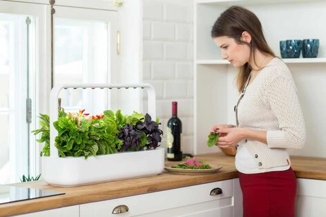 click and grow the smart garden 9 click and grow the smart garden 9