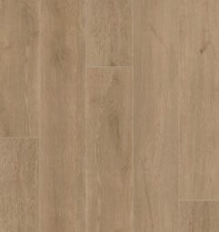 Orchard Oak