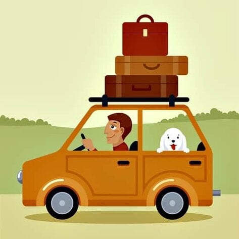 car travel with pets
