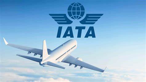 African airlines see 12.4% in demand for passenger air travel in Nov 2024, higher than 8.1% global average - IATA OIP