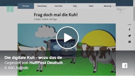 digitale Kuh