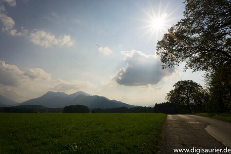 Ok, ich mag das mit den Sonnenstrahlen. Nachträglich habe ich das Bild etwas wärmer gemacht, also mehr Gelb hinzugegeben. Für aufwändigere Nachbearbeitung speichert die Alpha 6000 natürlich auch Bilder im RAW-Format.
