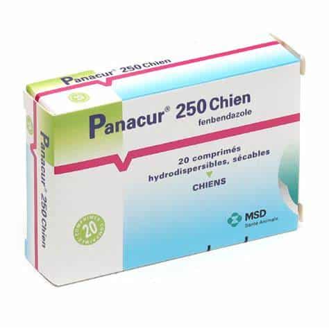Boîte de Panacur 250 Chien, vermifuge au fenbendazole, comprimés hydrodispersibles sécables