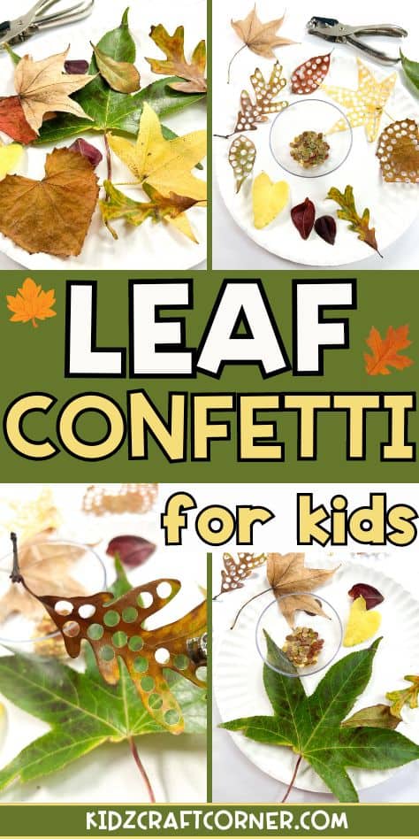 leaf confetti