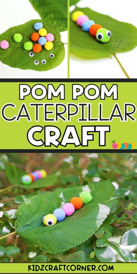 colored pom pom caterpillar craft for kids