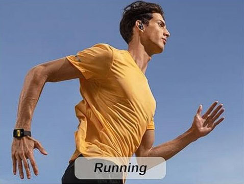 Rulefiss Official website