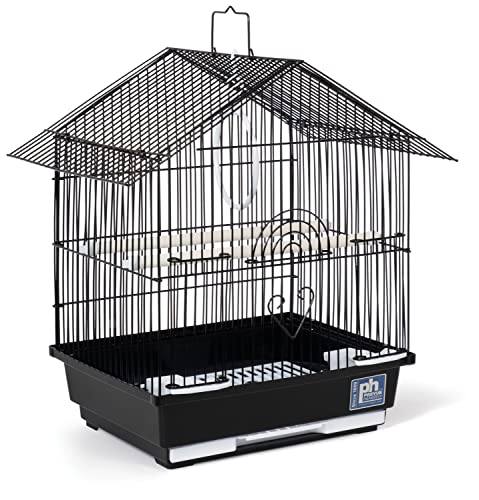 Small Bird Cage