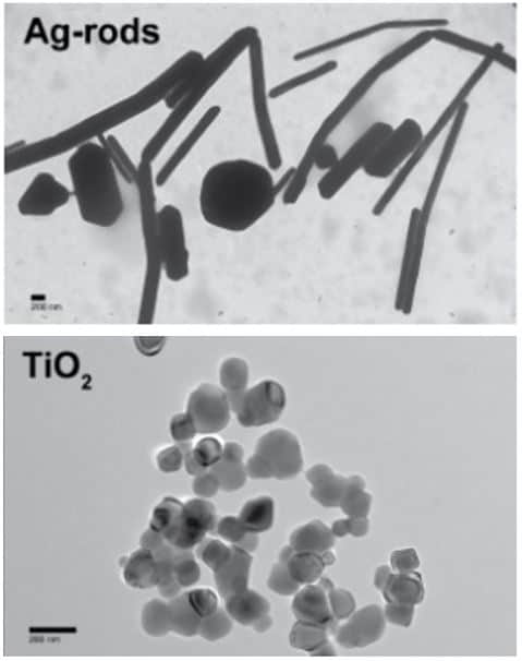 Nanotoxicity Screening