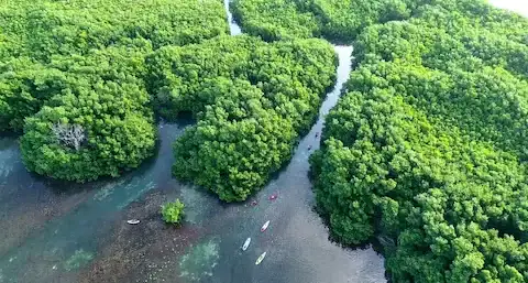Kayak en laguna nichupte