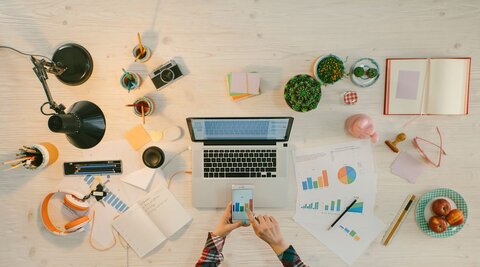 Project Management Performance