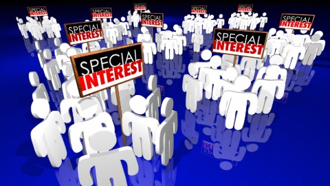 Political Interest Groups: An important role in the democracy