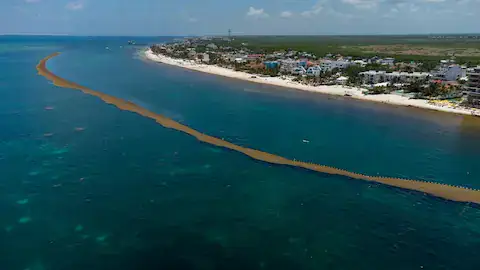 Buceo en Puerto Morelos