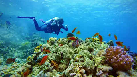 Hombre buzo nadando en arrecife de coral