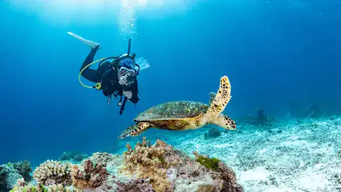 Buceo en Puerto Morelos