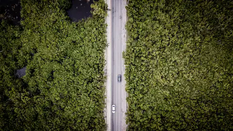 Ruta de los Cenotes en Puerto Morelos