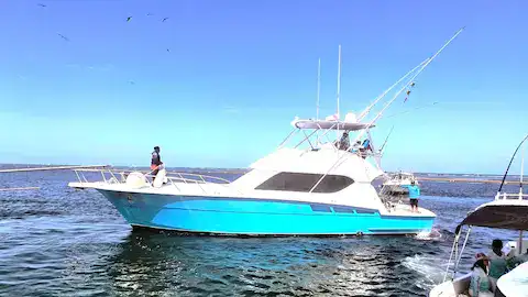 pesca deportiva