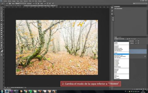 Tutorial efecto Orton