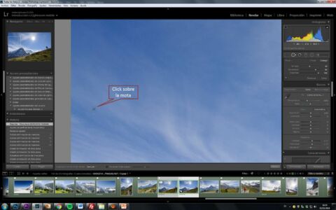 limpiar las manchas del sensor en Lightroom