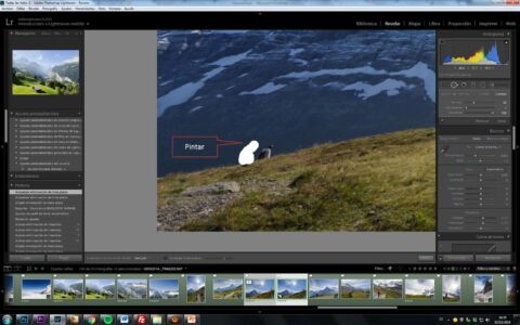 limpiar las manchas del sensor en Lightroom
