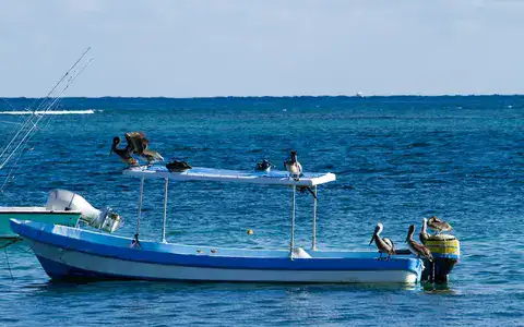 Pesca deportiva en Puerto Morelos