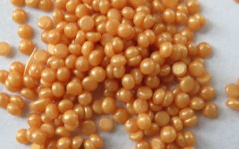 Viva Brazil San Diego: 20 Years of Waxing Excellence